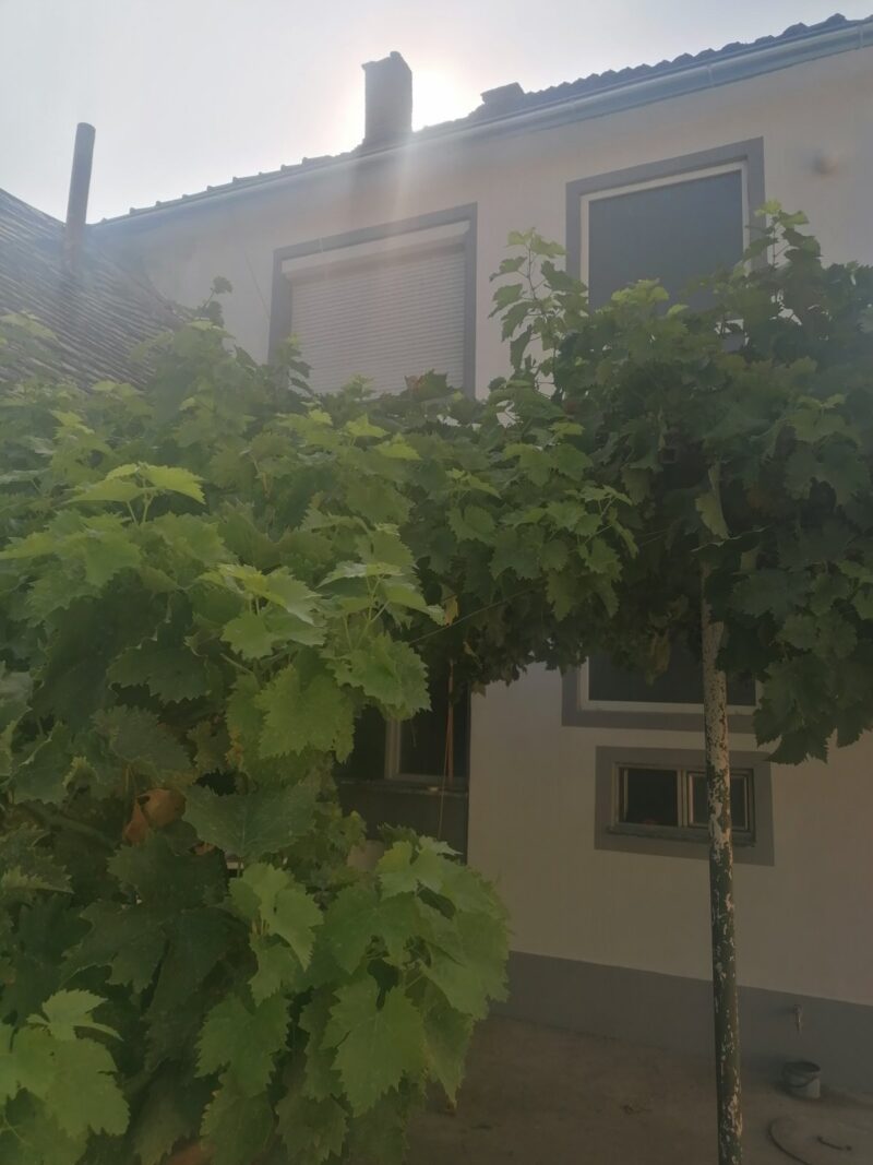 Kuća, Novi Slankamen - 118.000 evra - Image 3