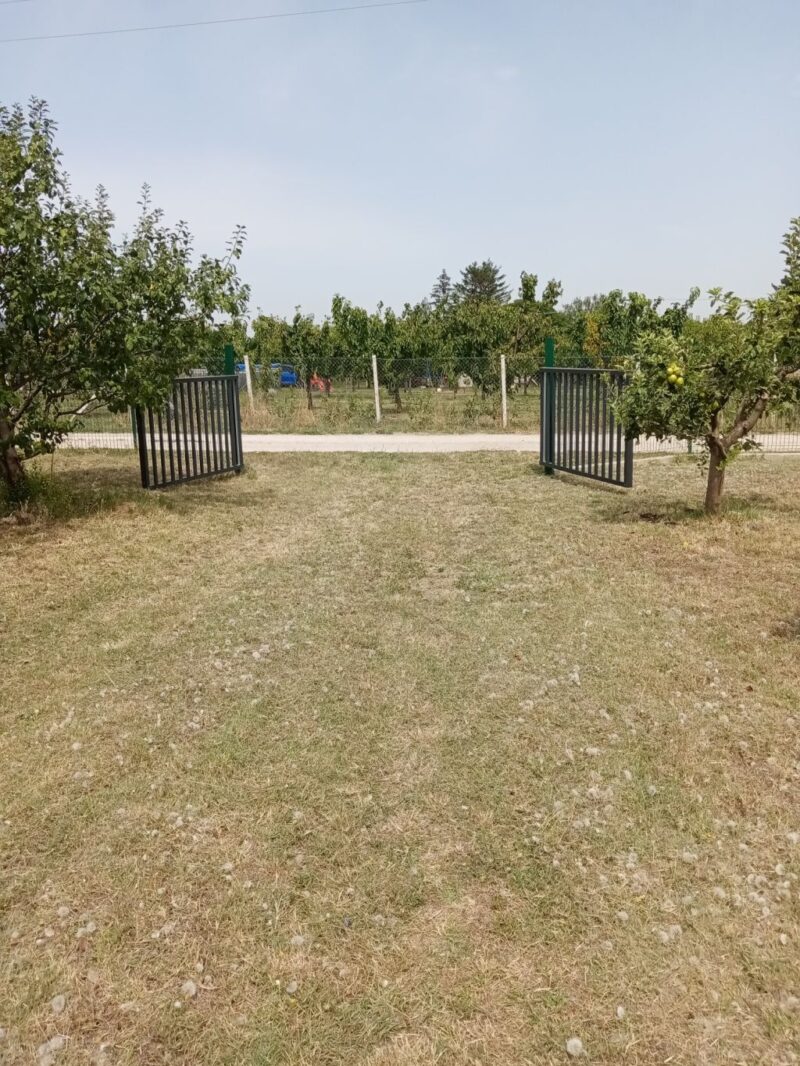 Vikendica, Čortanovci - 85.000 evra - Image 20