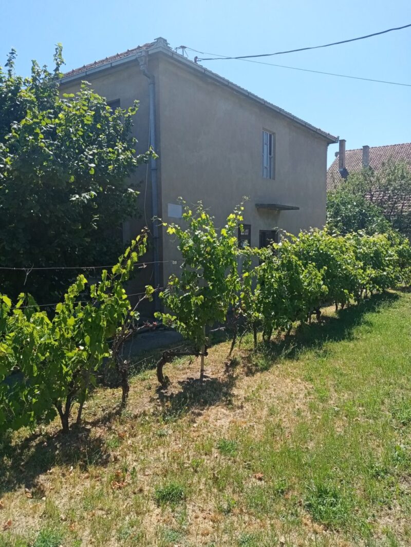 Kuća, Inđija - 130.000 evra - Image 6