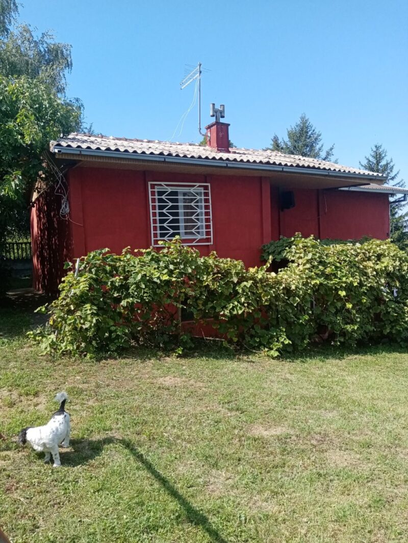 Vikendica, Krčedin - 103.000 evra - Image 2