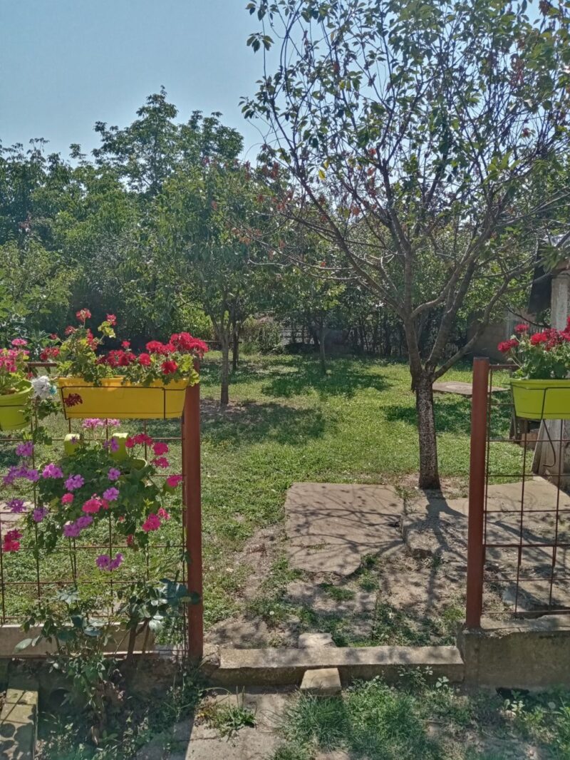 Kuća, Inđija - 205.000 evra - Image 9