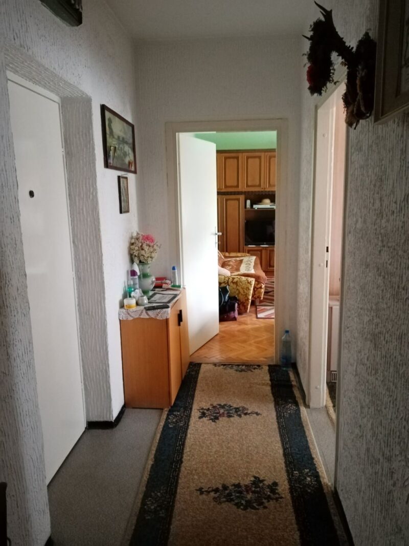 Stan, Inđija - 65.000 evra - Image 2