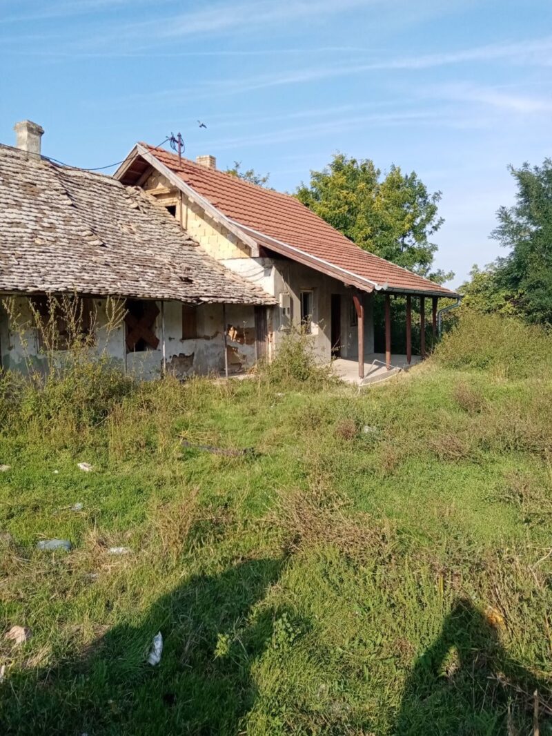 Kuća, Novi Karlovci - 30.000 evra - Image 2