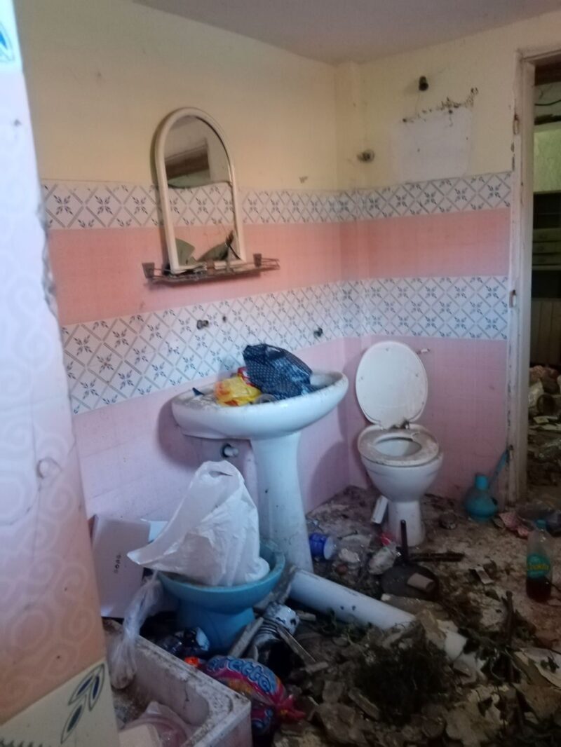 Kuća, Novi Karlovci - 30.000 evra - Image 9