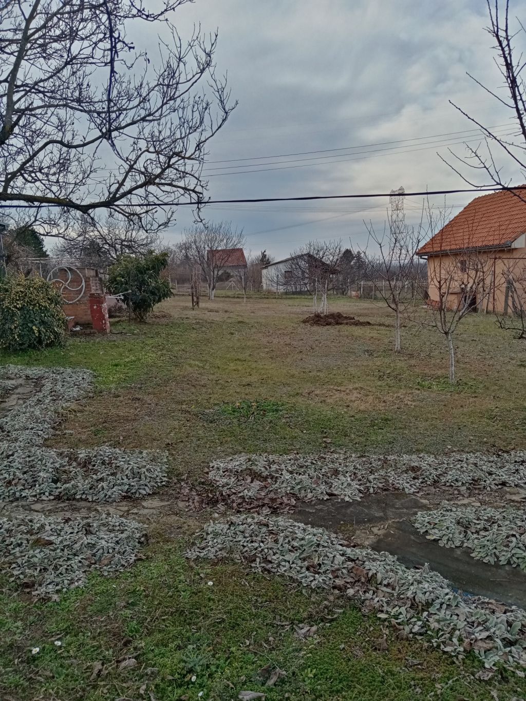 Vikendica, Krčedin - 40.000 evra - Image 10