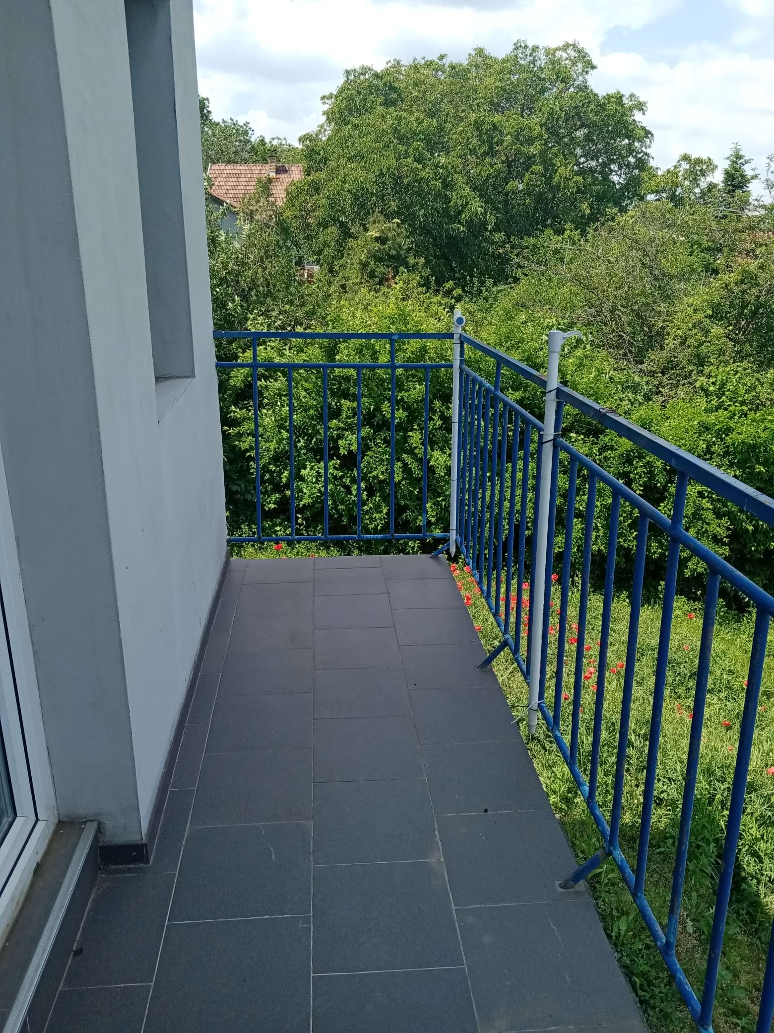 Vikendica, Krčedin - 55.000 evra - Image 12