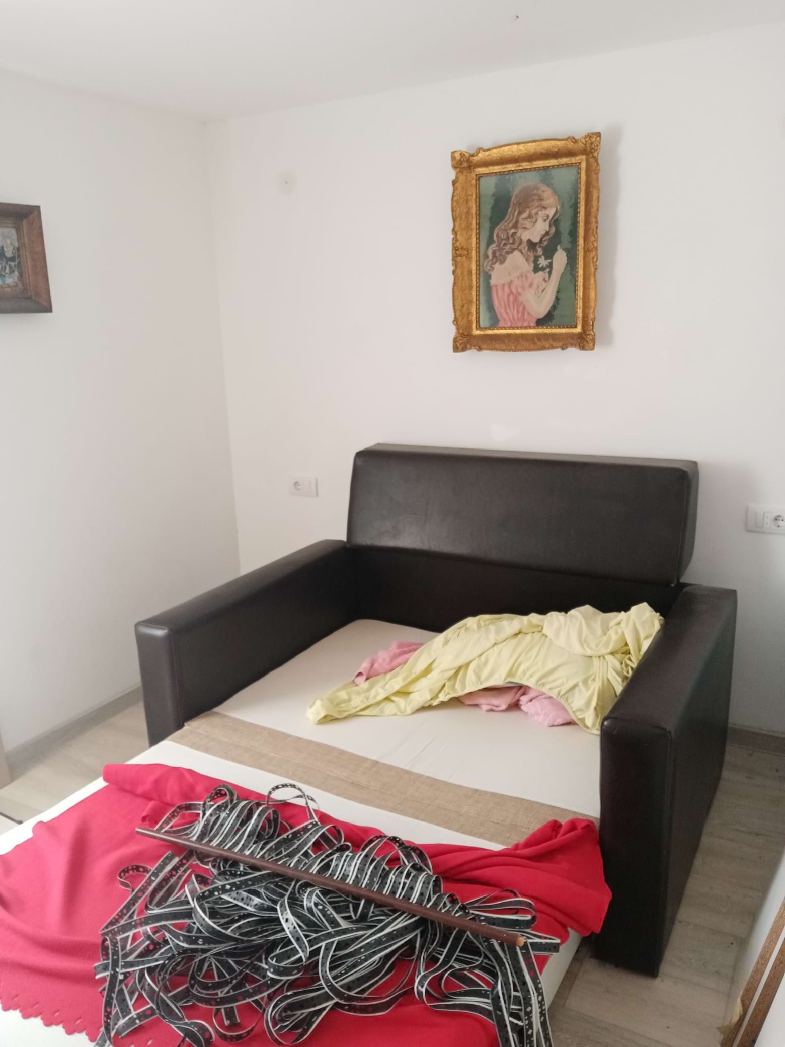 Vikendica, Krčedin - 55.000 evra - Image 17