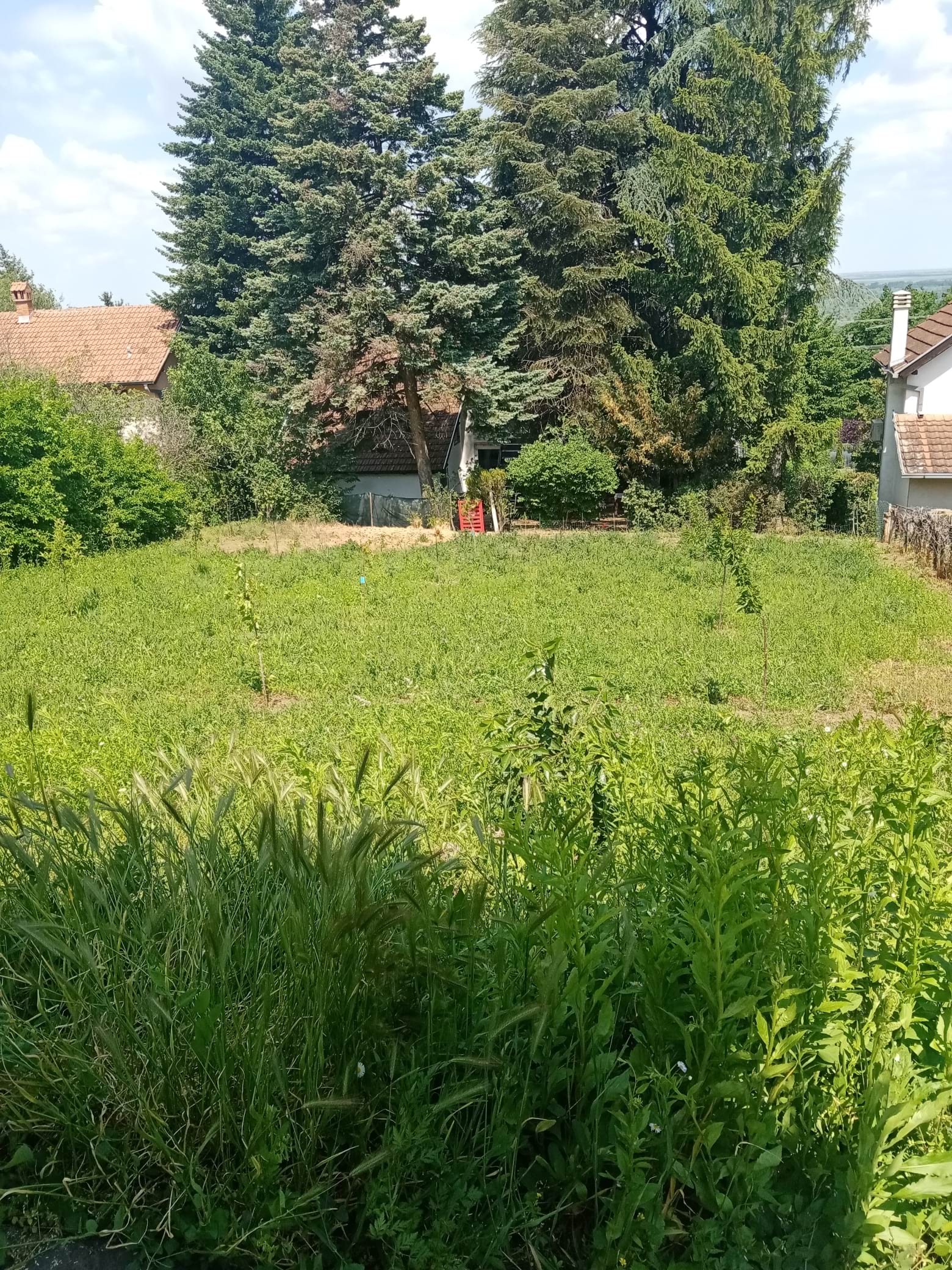 Vikendica, Krčedin - 55.000 evra - Image 9