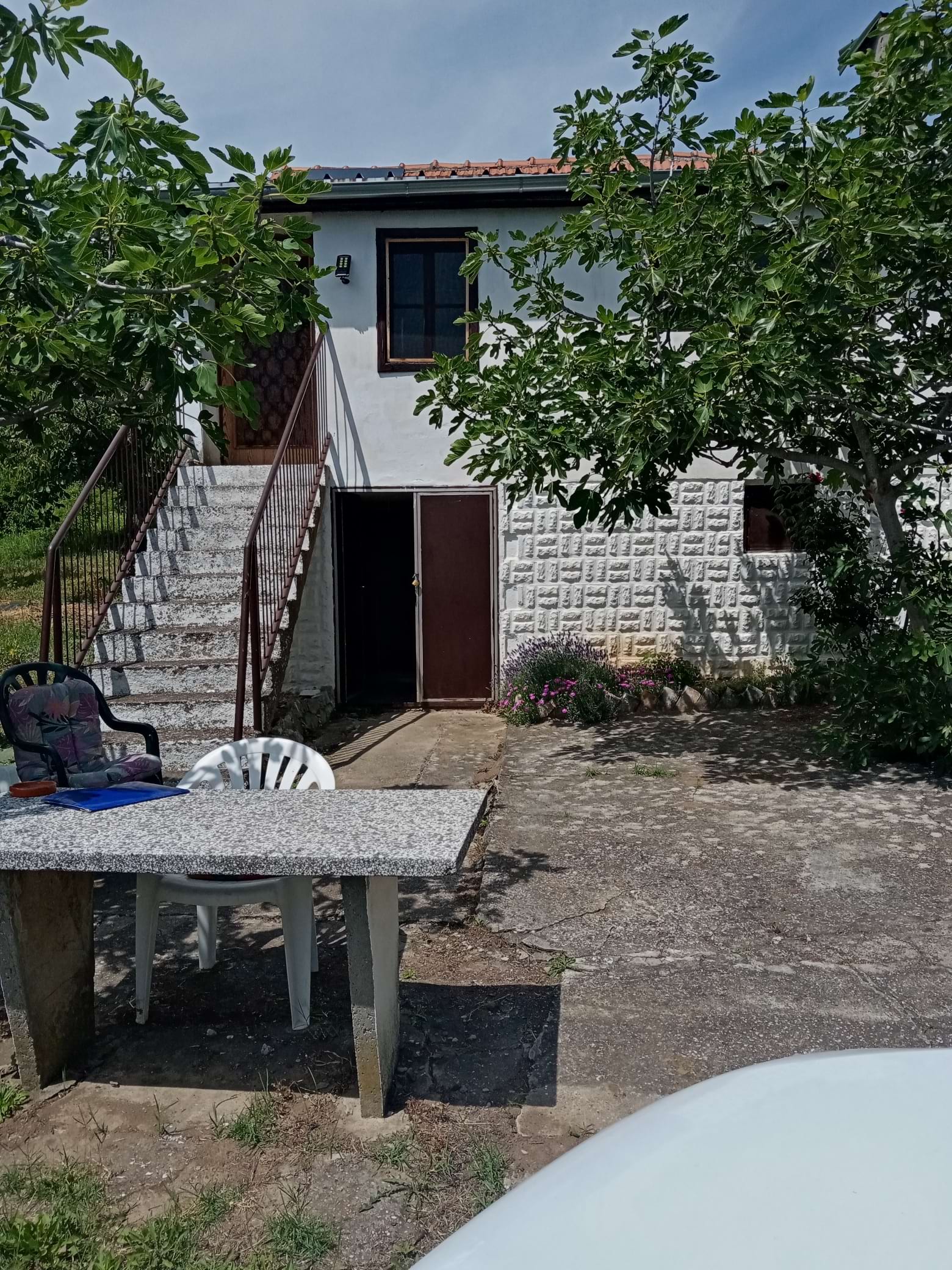 Vikendica, Slankamenački Vinogradi - 15.000 evra - Image 3