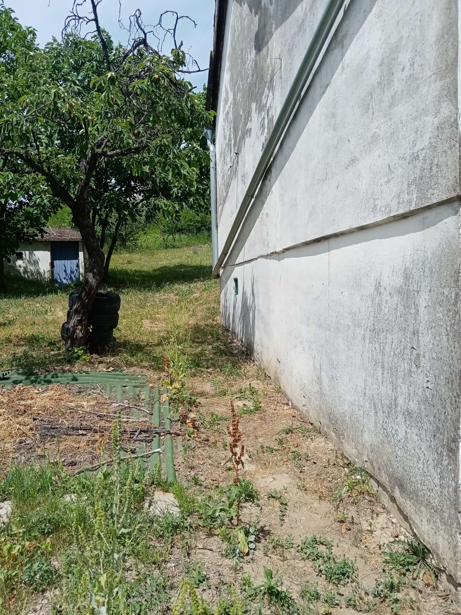 Vikendica, Slankamenački Vinogradi - 15.000 evra - Image 5