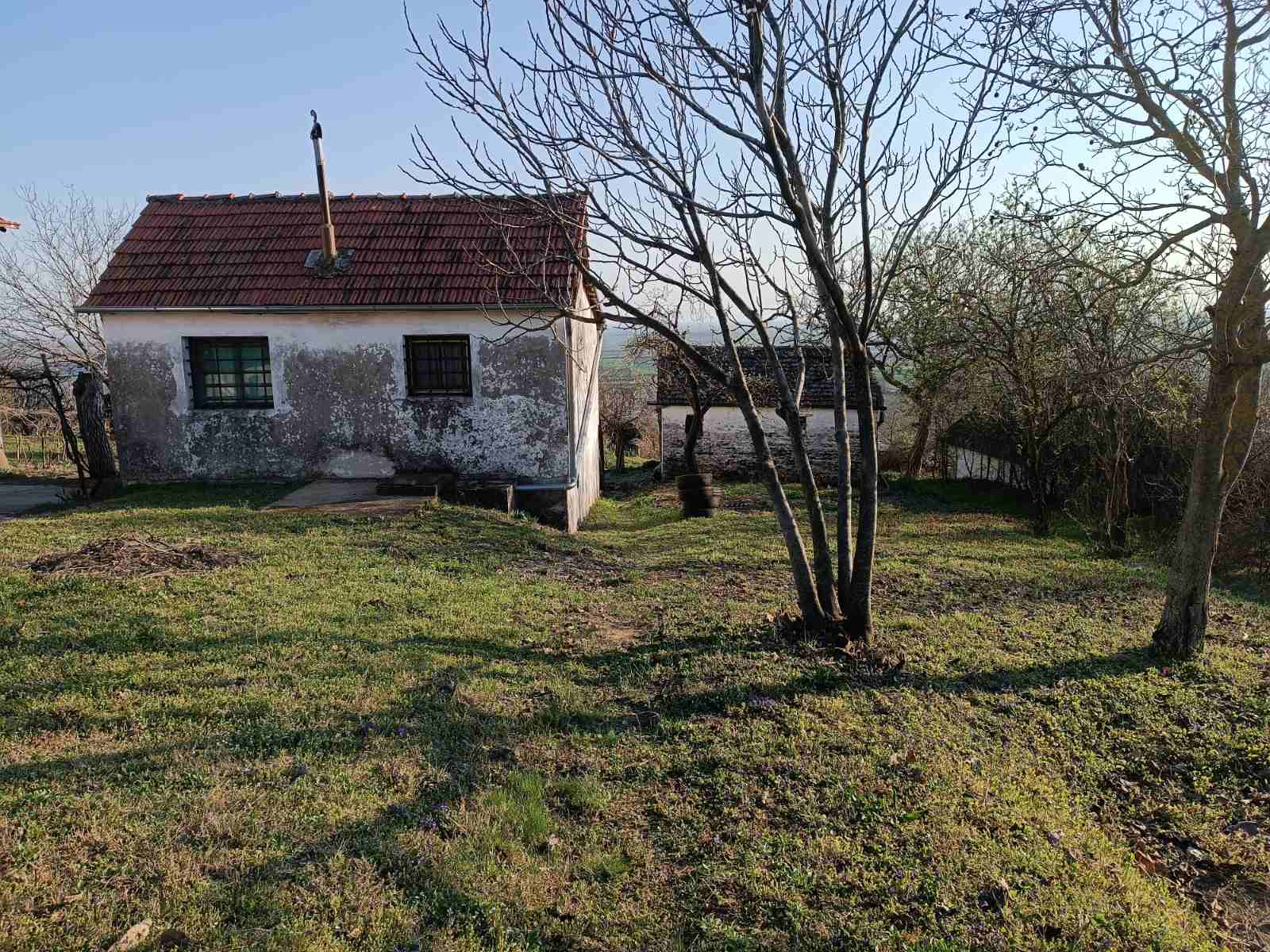 Vikendica, Slankamenački Vinogradi - 15.000 evra - Image 6
